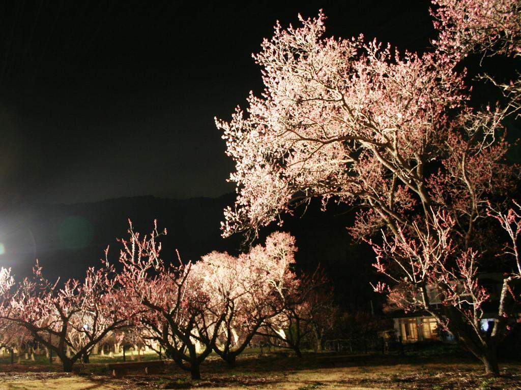 ホテルうづらや 千曲市 エクステリア 写真